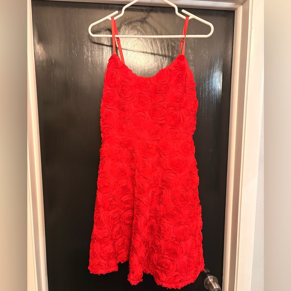 Express Red Rose Dress NWT